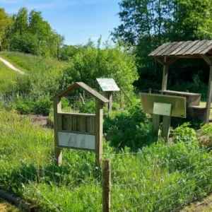 Natuurroute Doezumerbos