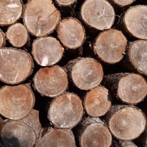 Hout