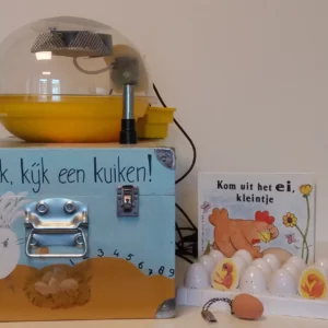 Kkrakk, Kijk een kuiken